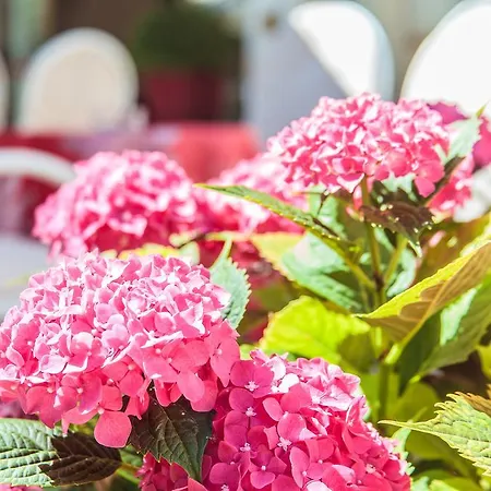 Garden - Parking Included 酒店