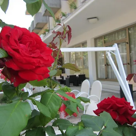 Garden 호텔 3*