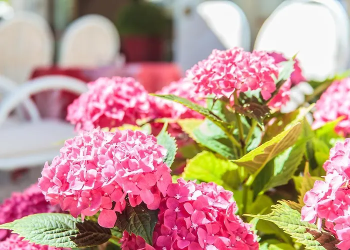 Garden - Parking Included Otel