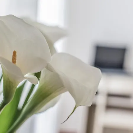 Отель Garden 3*